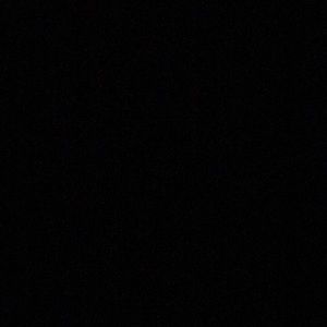 Meet your Posher, Cora